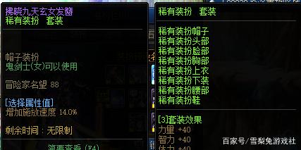 地下城私服-与勇士私服粉武器怎么上（地下城私服-与勇士私服粉的福音——武器装备攻略）1006